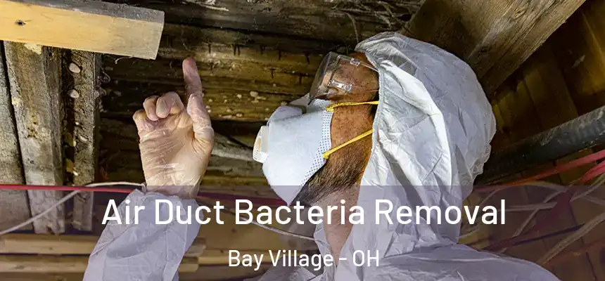  Air Duct Bacteria Removal Bay Village - OH