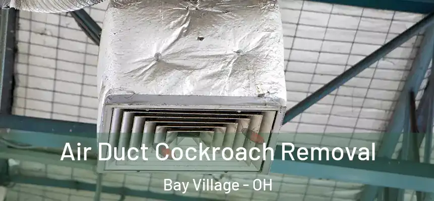  Air Duct Cockroach Removal Bay Village - OH