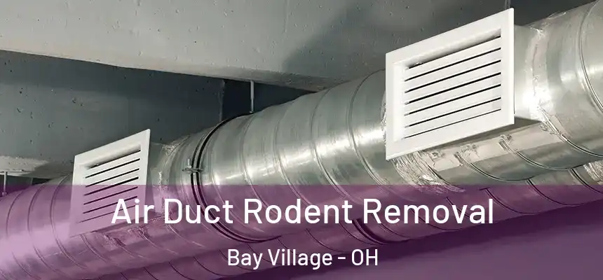  Air Duct Rodent Removal Bay Village - OH