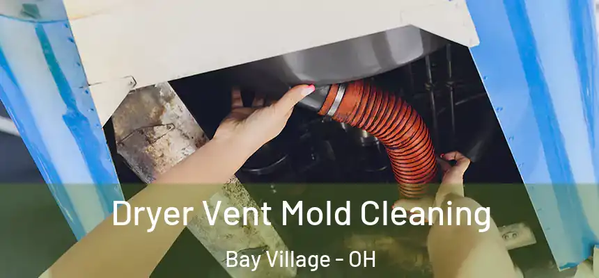  Dryer Vent Mold Cleaning Bay Village - OH
