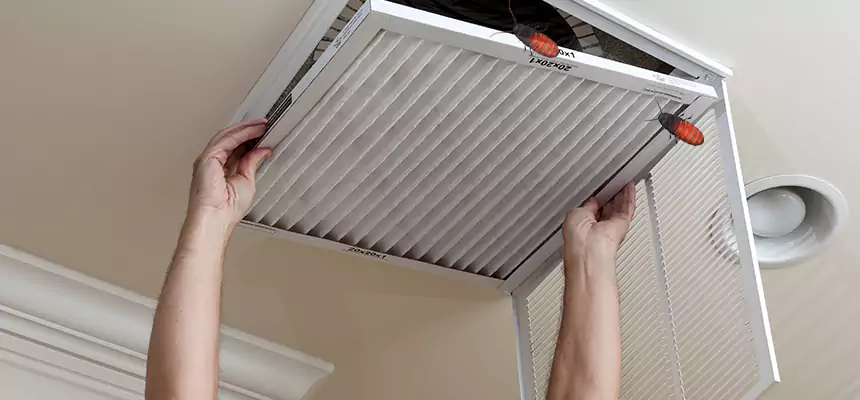Preventive Cockroach-Proofing for Ducts in Bay Village