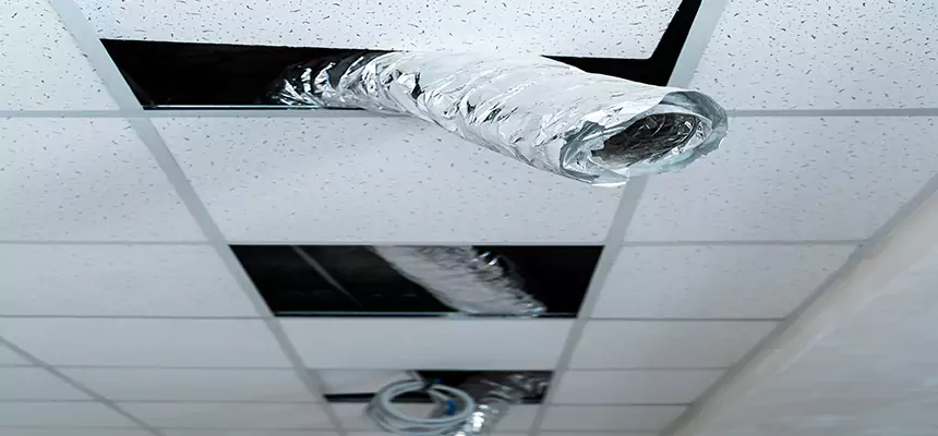 Our Air Duct Pet Hair Removal Services in Bay Village, OH