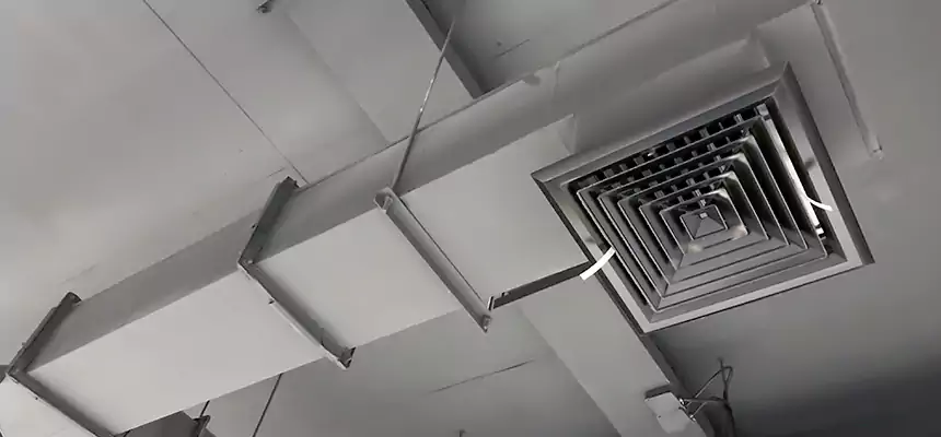 Our Rodent Droppings In Vents Services in Bay Village, OH