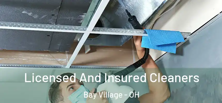  Licensed And Insured Cleaners Bay Village - OH