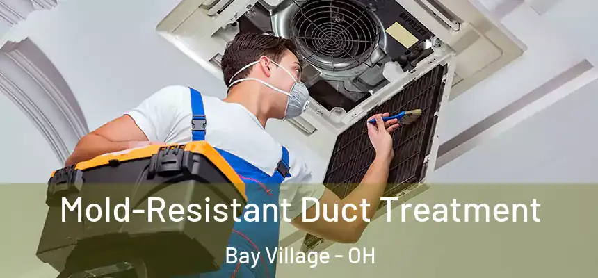  Mold-Resistant Duct Treatment Bay Village - OH