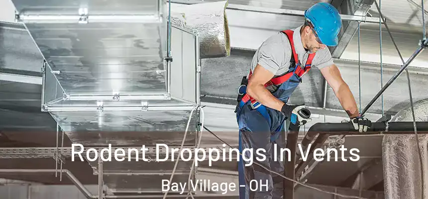  Rodent Droppings In Vents Bay Village - OH