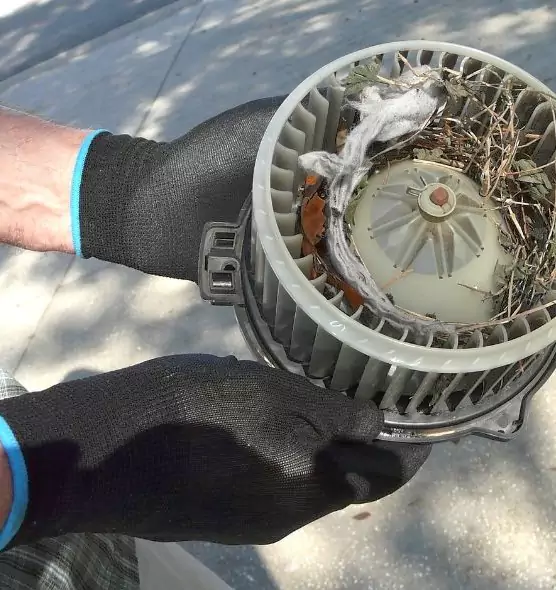 About Air Duct Mice Removal in Bay Village, OH